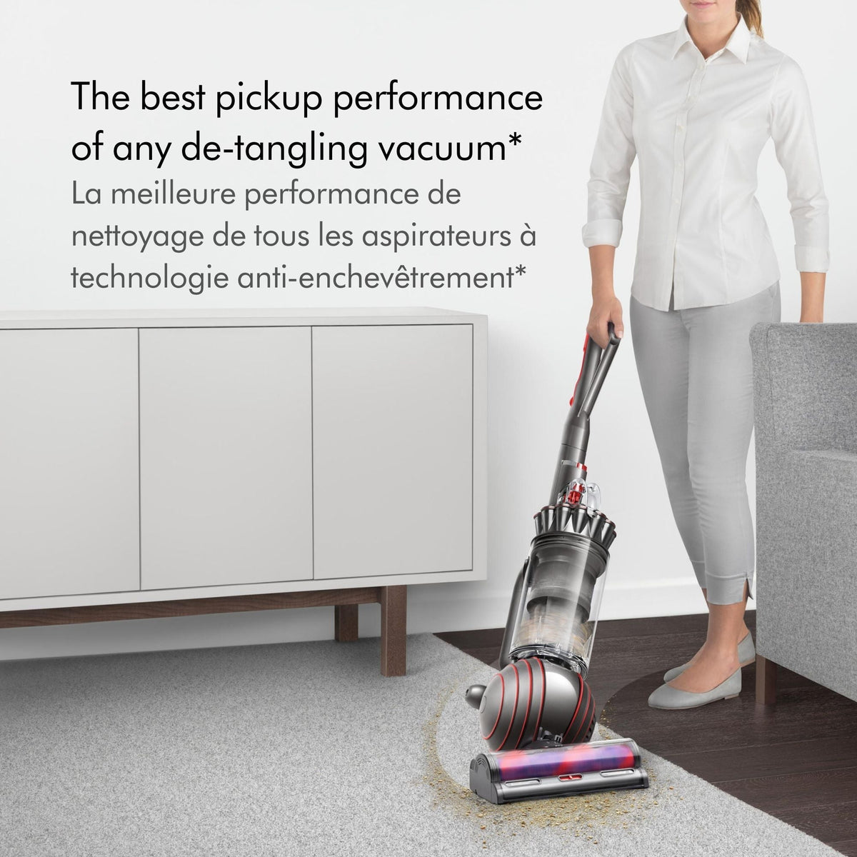 Ball Animal 3 Corded Upright Vacuum Cleaner