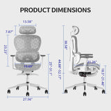 Ergo3D Ergonomic Office Chair -- High Back Mesh Desk Chair with 3D Adjustable Armrests, Wheels, for Home and Office (Black)