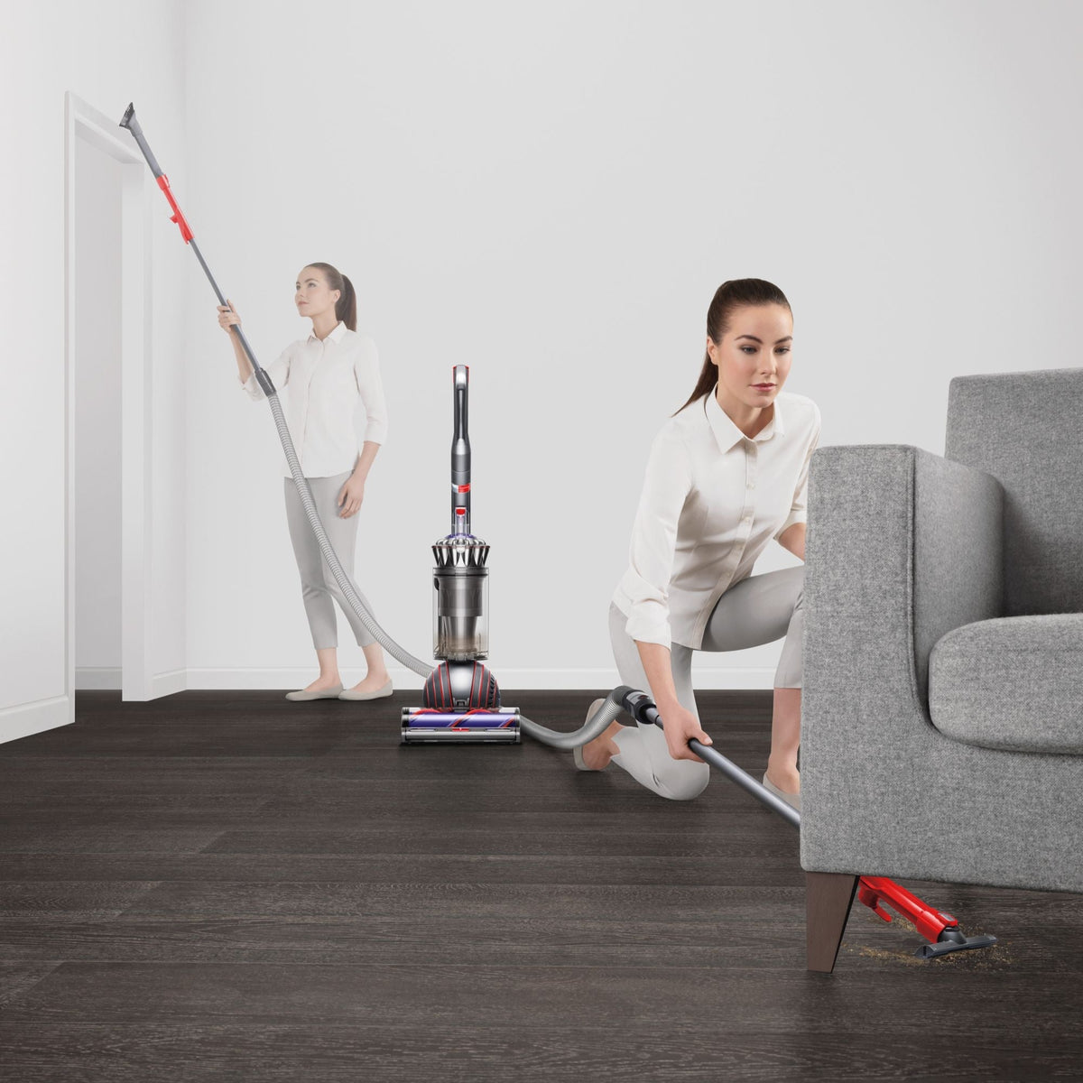 Ball Animal 3 Corded Upright Vacuum Cleaner