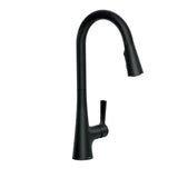 Mikah 1-Handle Pull Down Kitchen Faucet, Matte Black