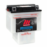 Group Size 124 Battery, 700 CCA