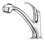 Shelton Single Handle Pull Out Kitchen Faucet, Chrome