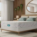 Bowman 27.9 cm (11 in.) Mattress or Set