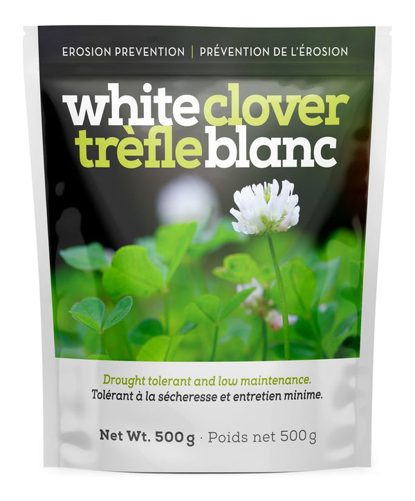White Clover Erosion Control Grass Seed 500g I6604