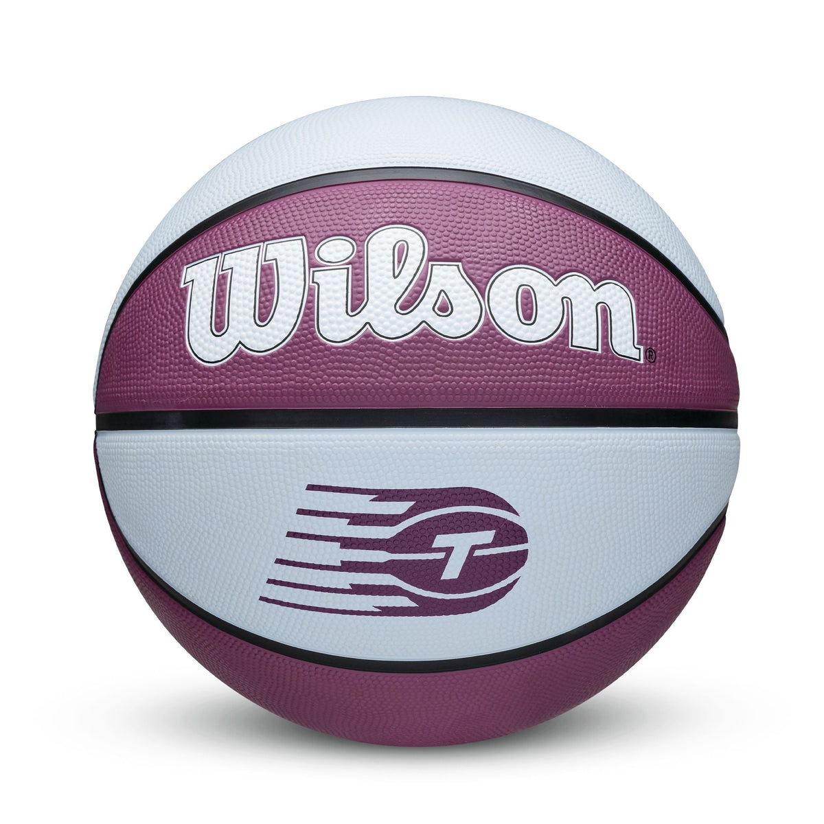 Team Tribute Basketball, Official Size 6 (28.5-in), Purple