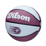Team Tribute Basketball, Official Size 6 (28.5-in), Purple